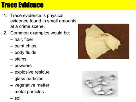 Traces Of Evidence Parimatch